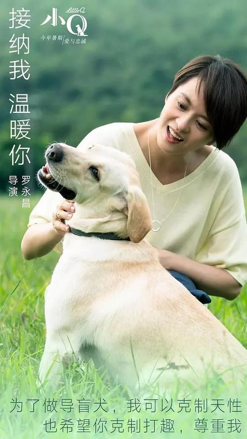 克拉克森大学文凭办理